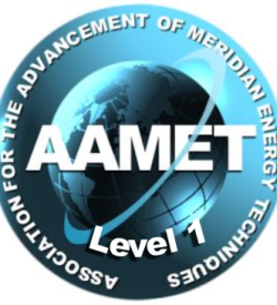 In der AAMET sind die weltweit besten EFT-Trainer und -Master organisiert